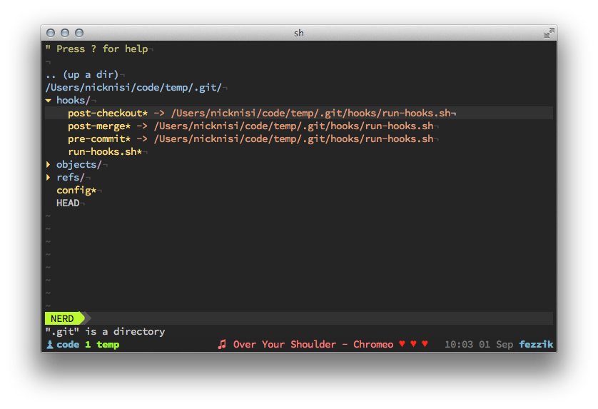 Git custom hooks setup